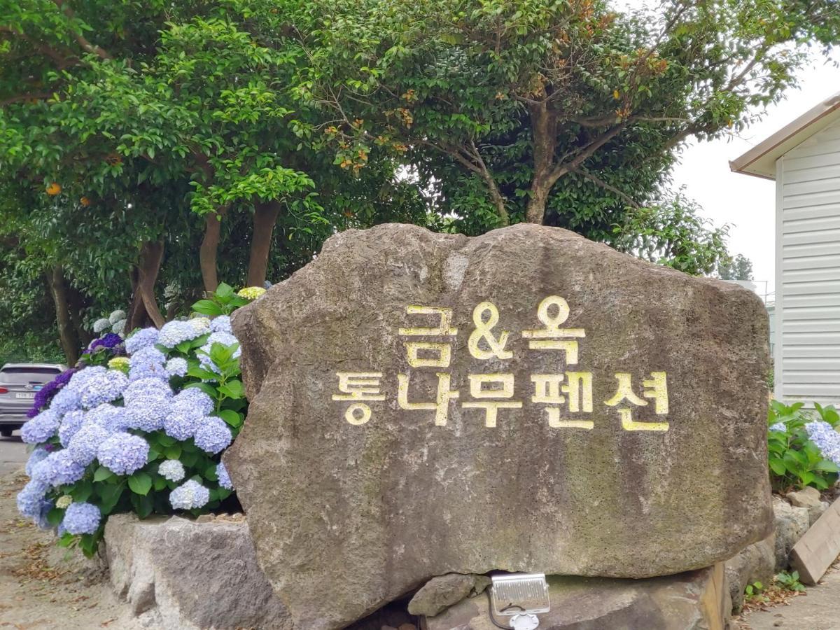 Geumok Log Pension Seogwipo Ngoại thất bức ảnh